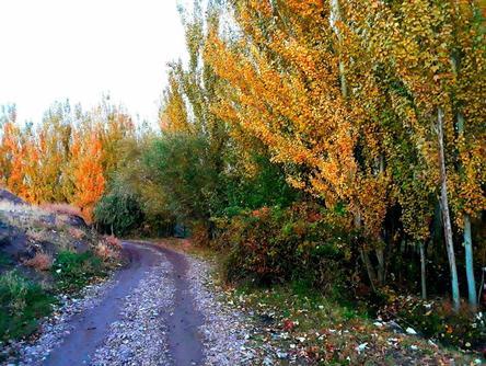 مجمع خیرین آبرسان استان آذربایجان غربی